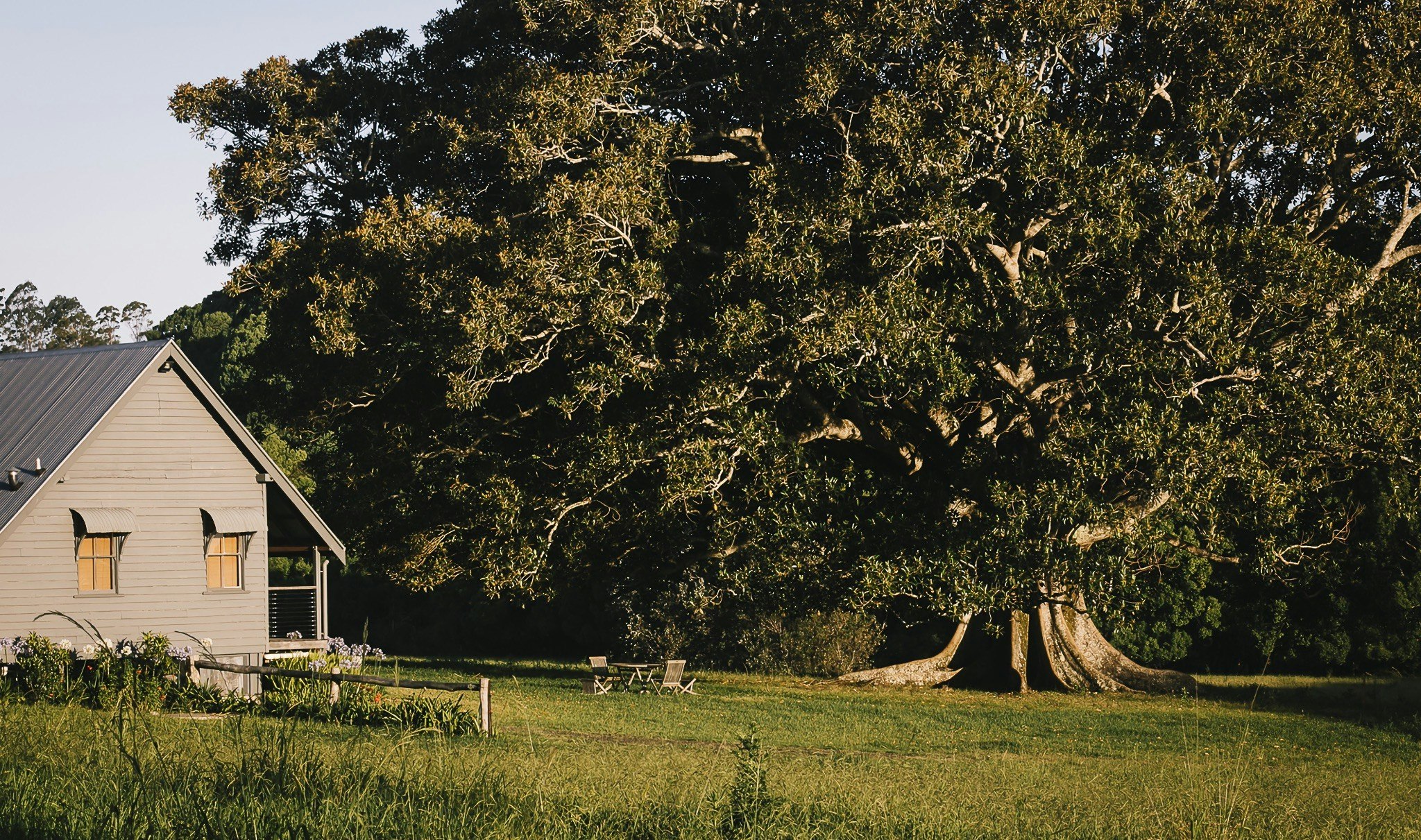 Homestead accommoation on green fields and large tree.
